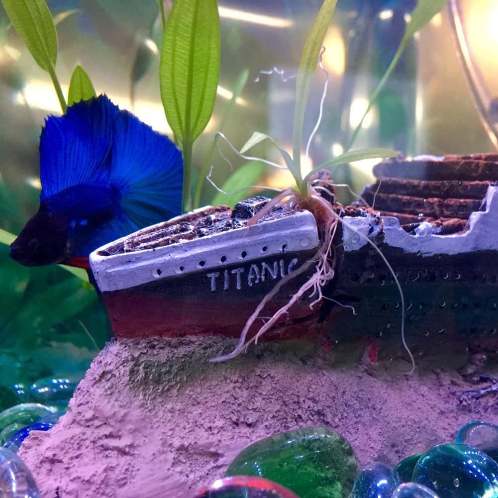 Your one-stop shop for diverse, top-quality aquarium supplies and accessories