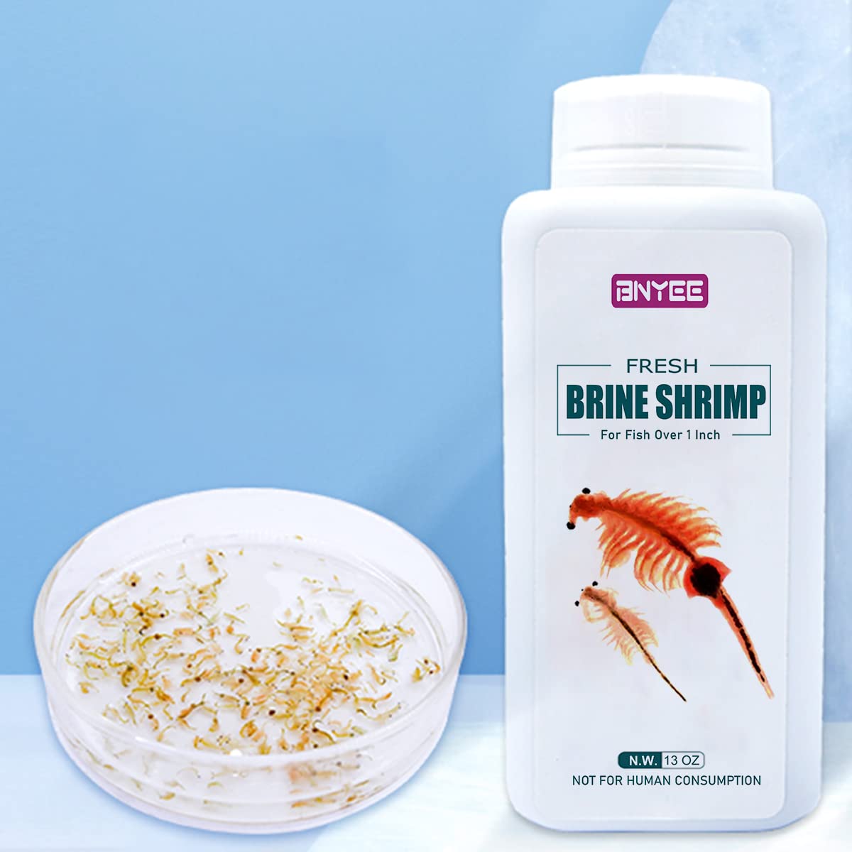 Your one-stop shop for diverse, top-quality aquarium supplies and accessories