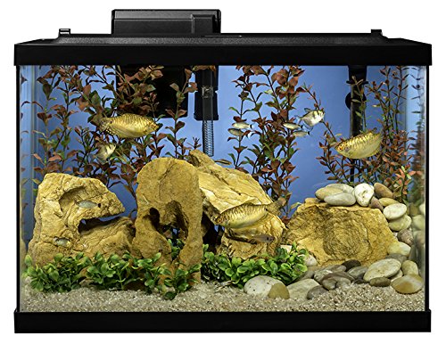 Your one-stop shop for diverse, top-quality aquarium supplies and accessories