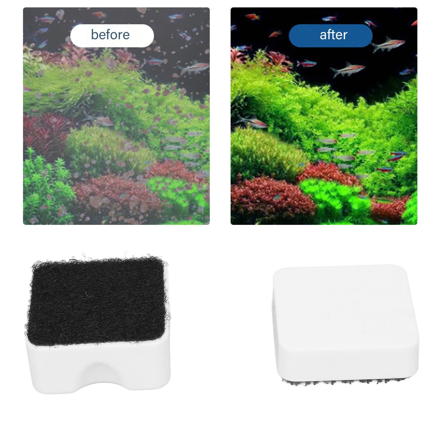 Your one-stop shop for diverse, top-quality aquarium supplies and accessories