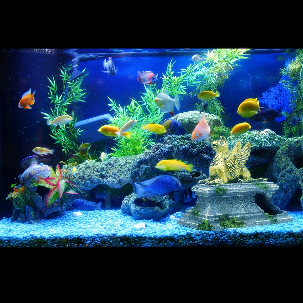 Your one-stop shop for diverse, top-quality aquarium supplies and accessories