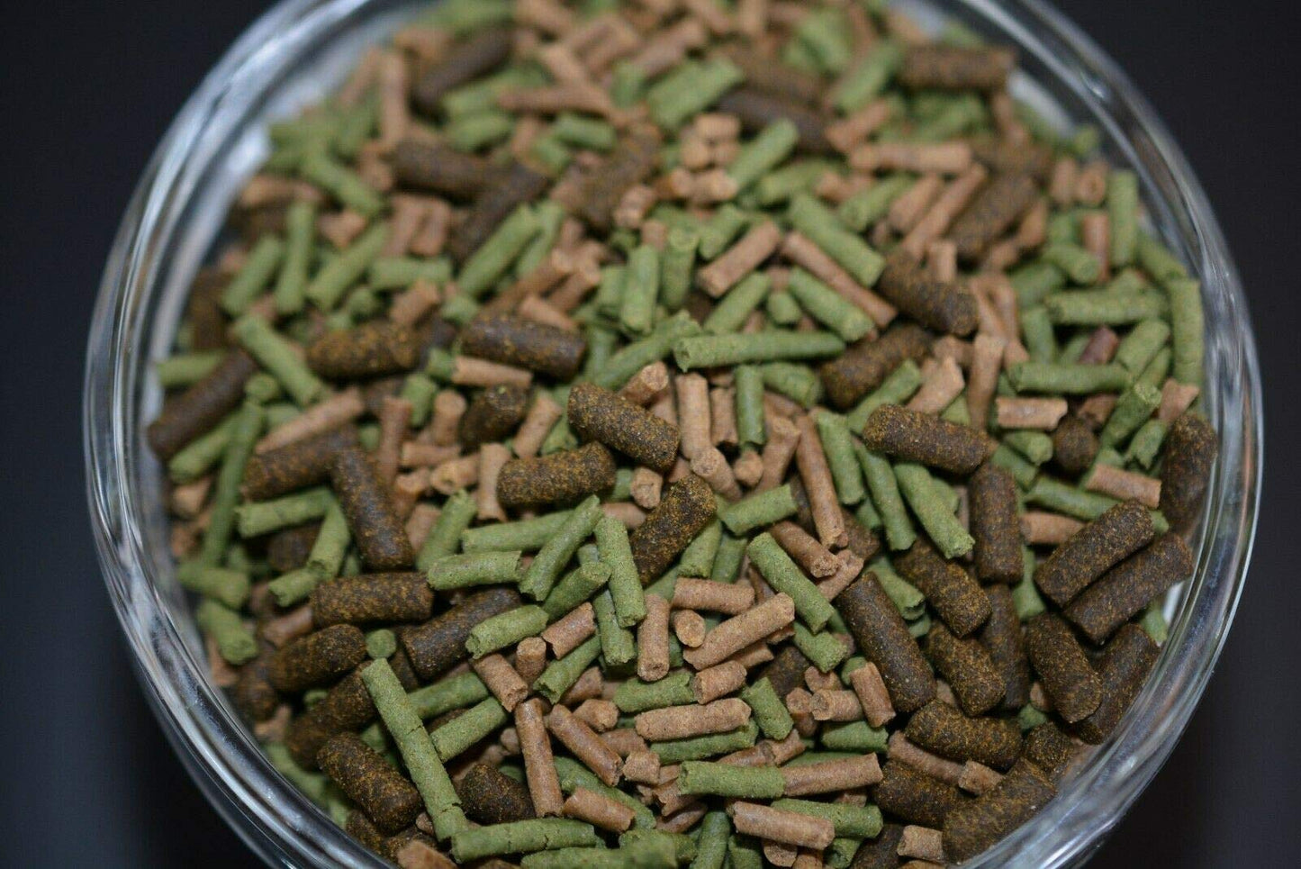 Your one-stop shop for diverse, top-quality aquarium supplies and accessories