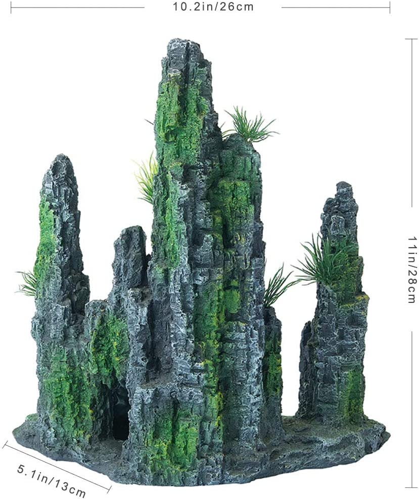 Your one-stop shop for diverse, top-quality aquarium supplies and accessories
