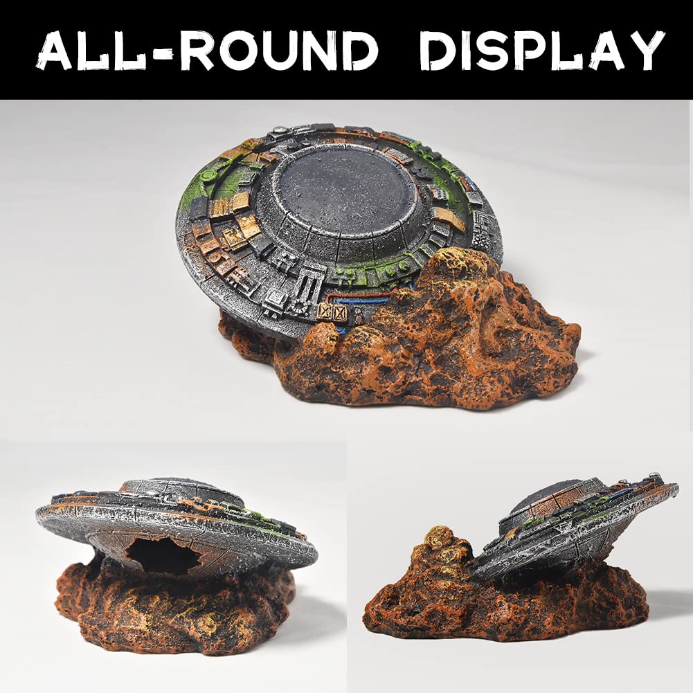 Your one-stop shop for diverse, top-quality aquarium supplies and accessories