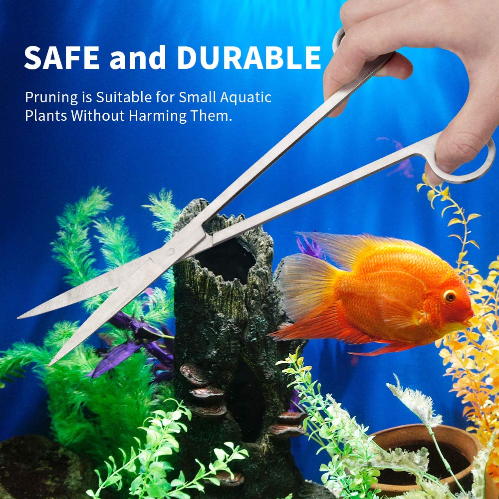 Your one-stop shop for diverse, top-quality aquarium supplies and accessories