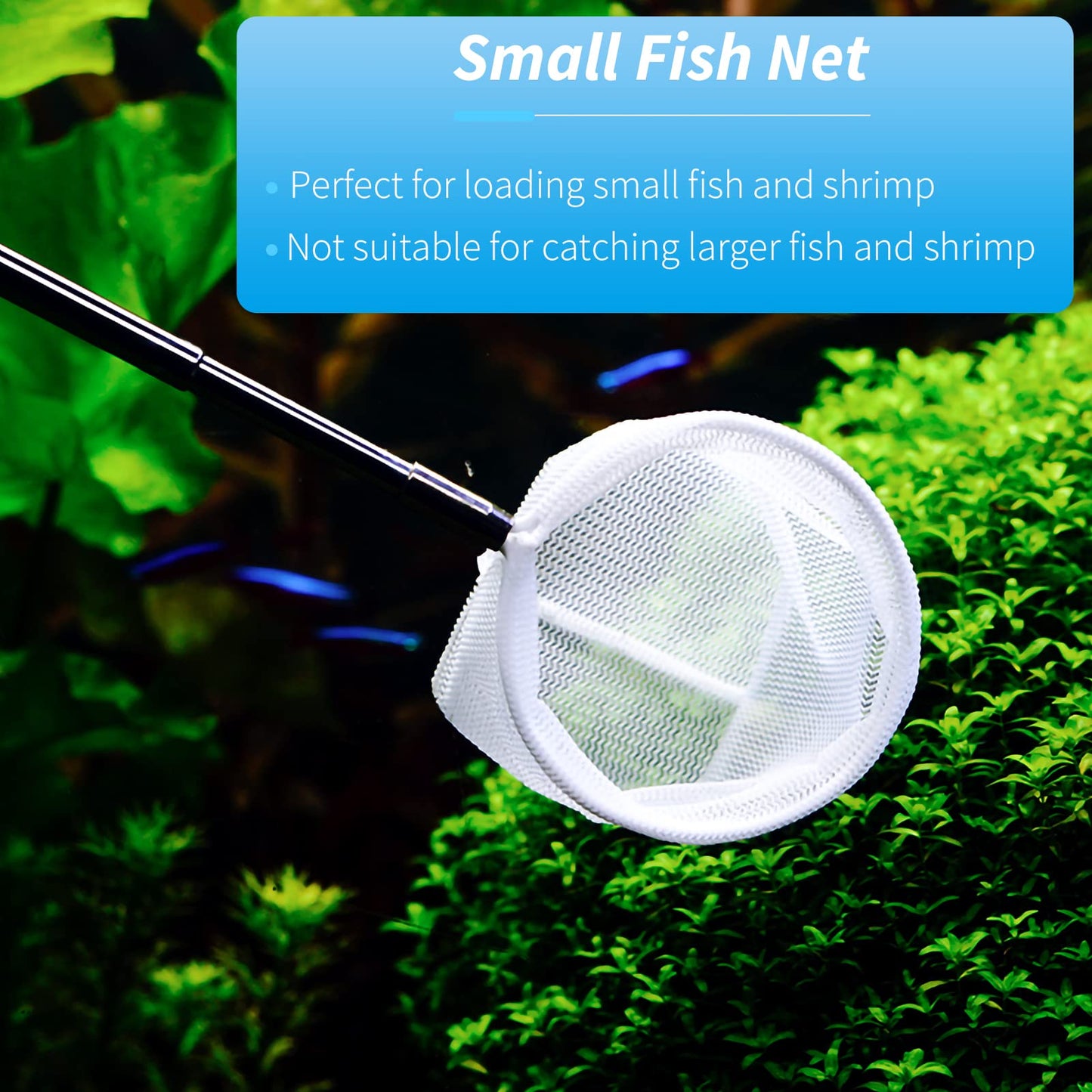 Your one-stop shop for diverse, top-quality aquarium supplies and accessories