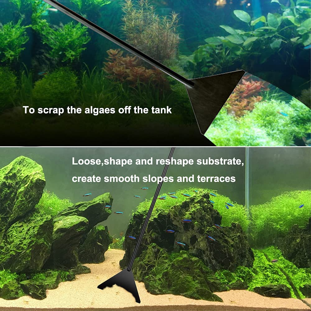 Your one-stop shop for diverse, top-quality aquarium supplies and accessories