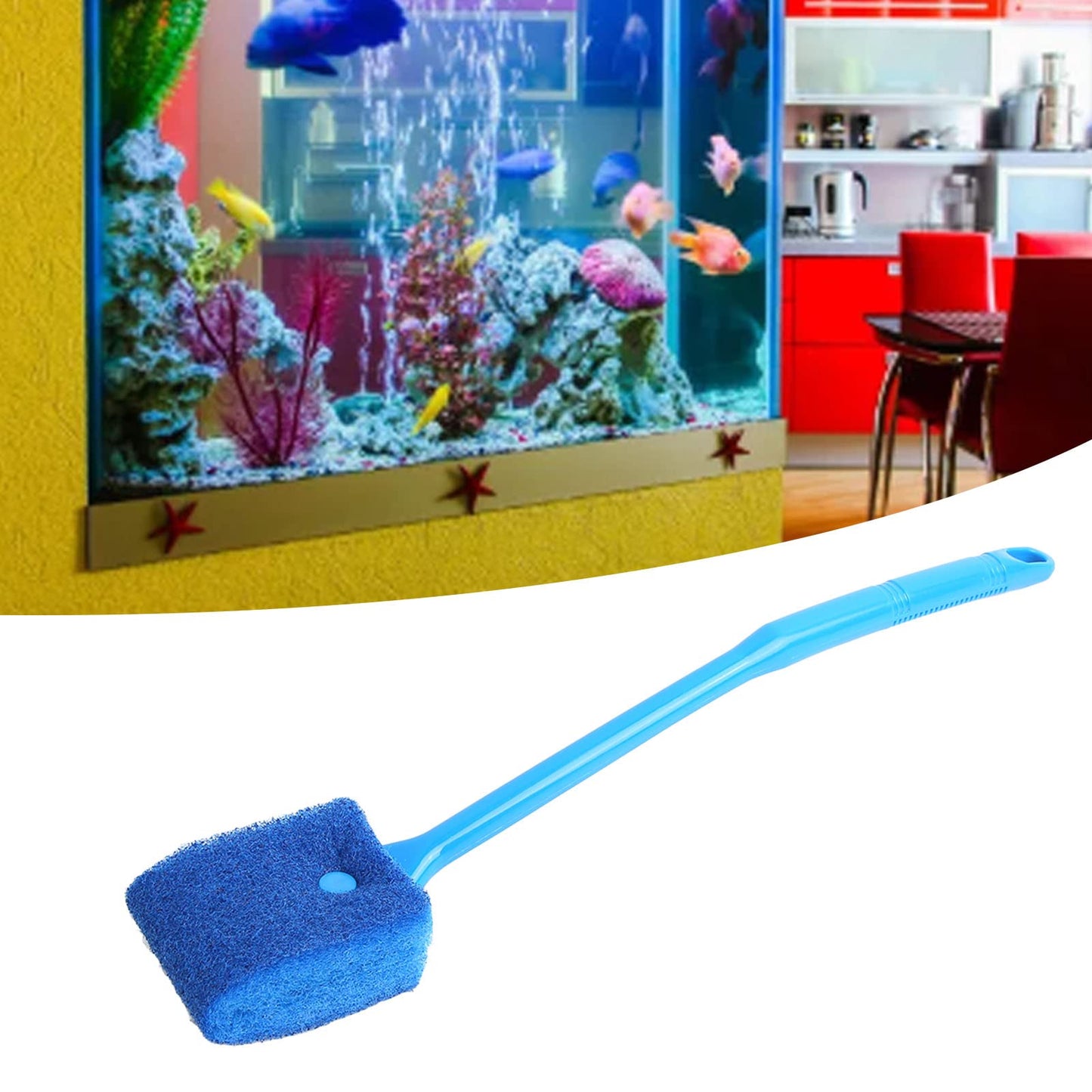 Your one-stop shop for diverse, top-quality aquarium supplies and accessories