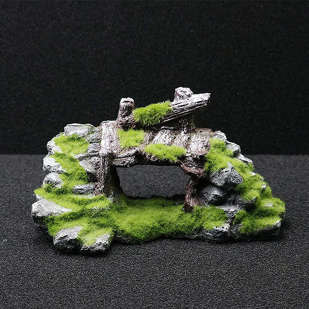 Your one-stop shop for diverse, top-quality aquarium supplies and accessories