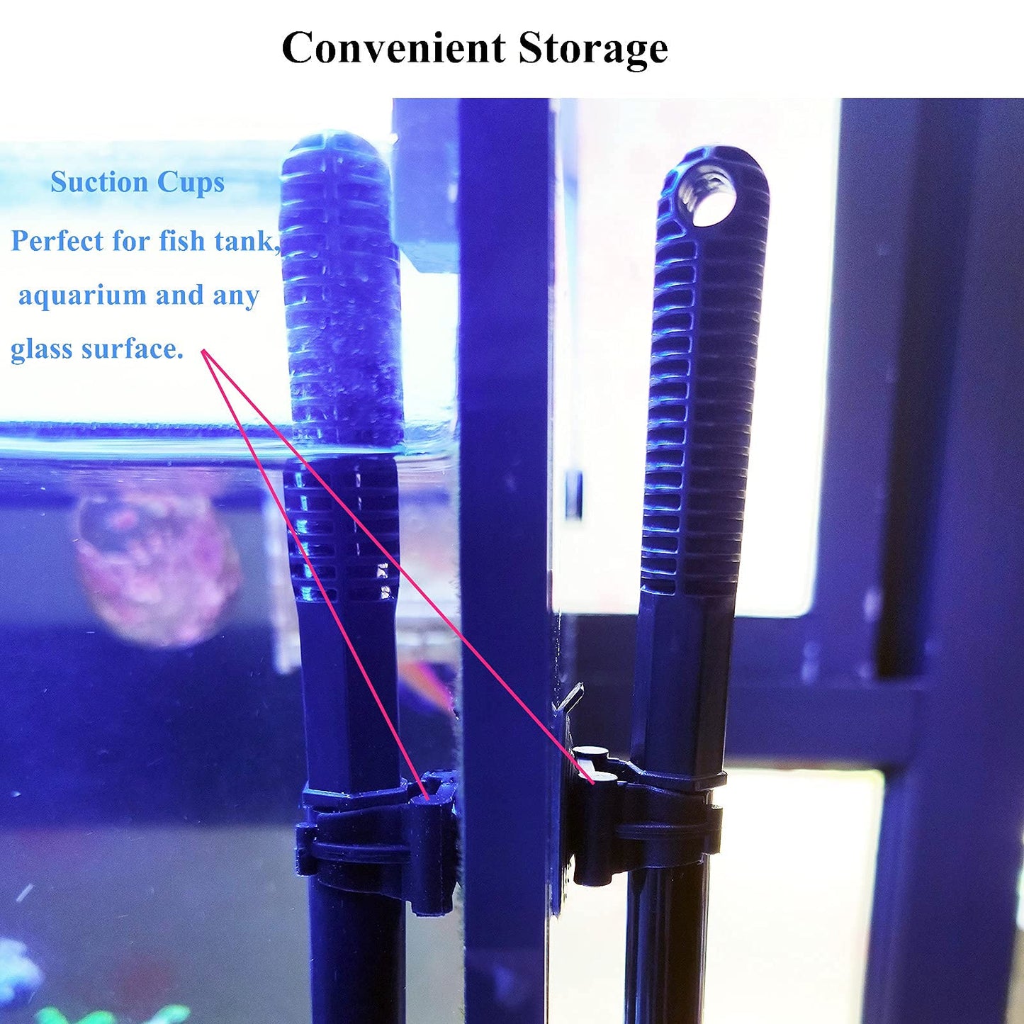 Your one-stop shop for diverse, top-quality aquarium supplies and accessories