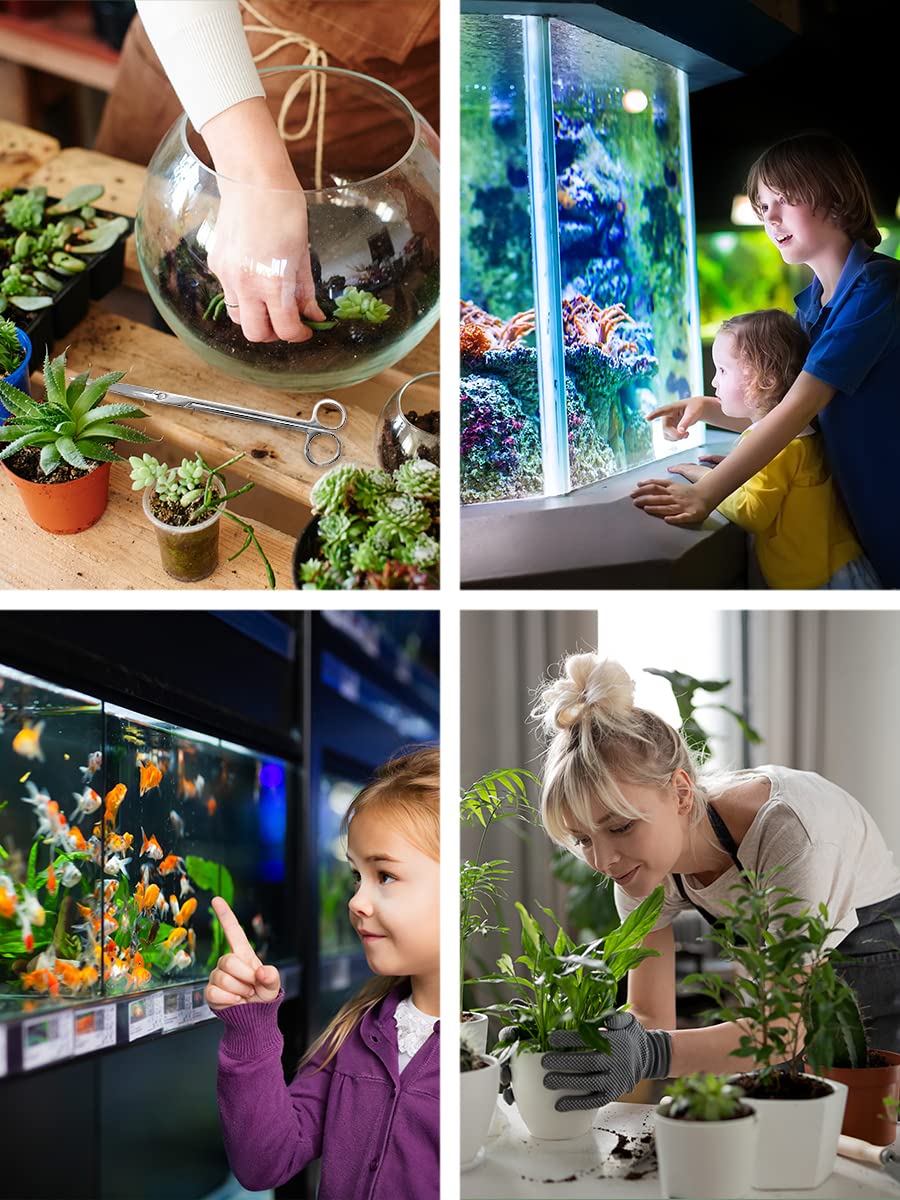 Your one-stop shop for diverse, top-quality aquarium supplies and accessories