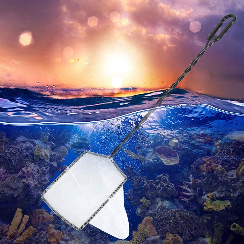 Your one-stop shop for diverse, top-quality aquarium supplies and accessories
