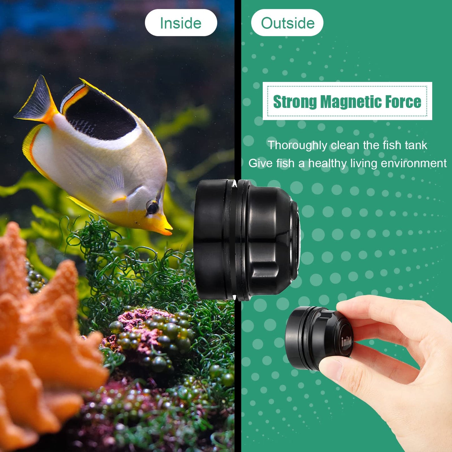 Your one-stop shop for diverse, top-quality aquarium supplies and accessories