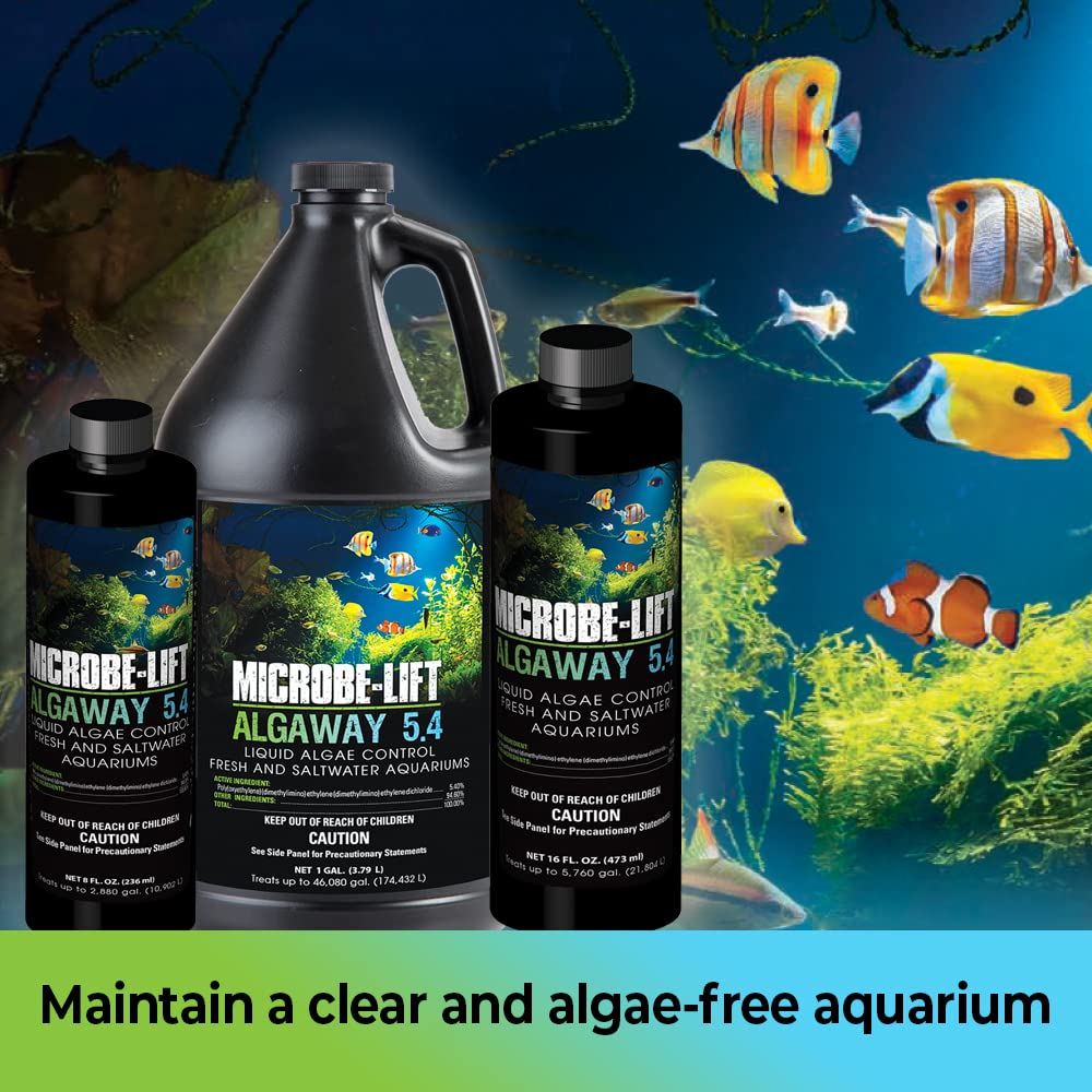 Your one-stop shop for diverse, top-quality aquarium supplies and accessories
