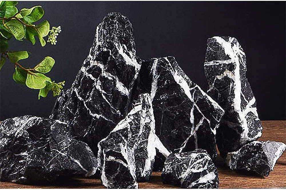 Your one-stop shop for diverse, top-quality aquarium supplies and accessories