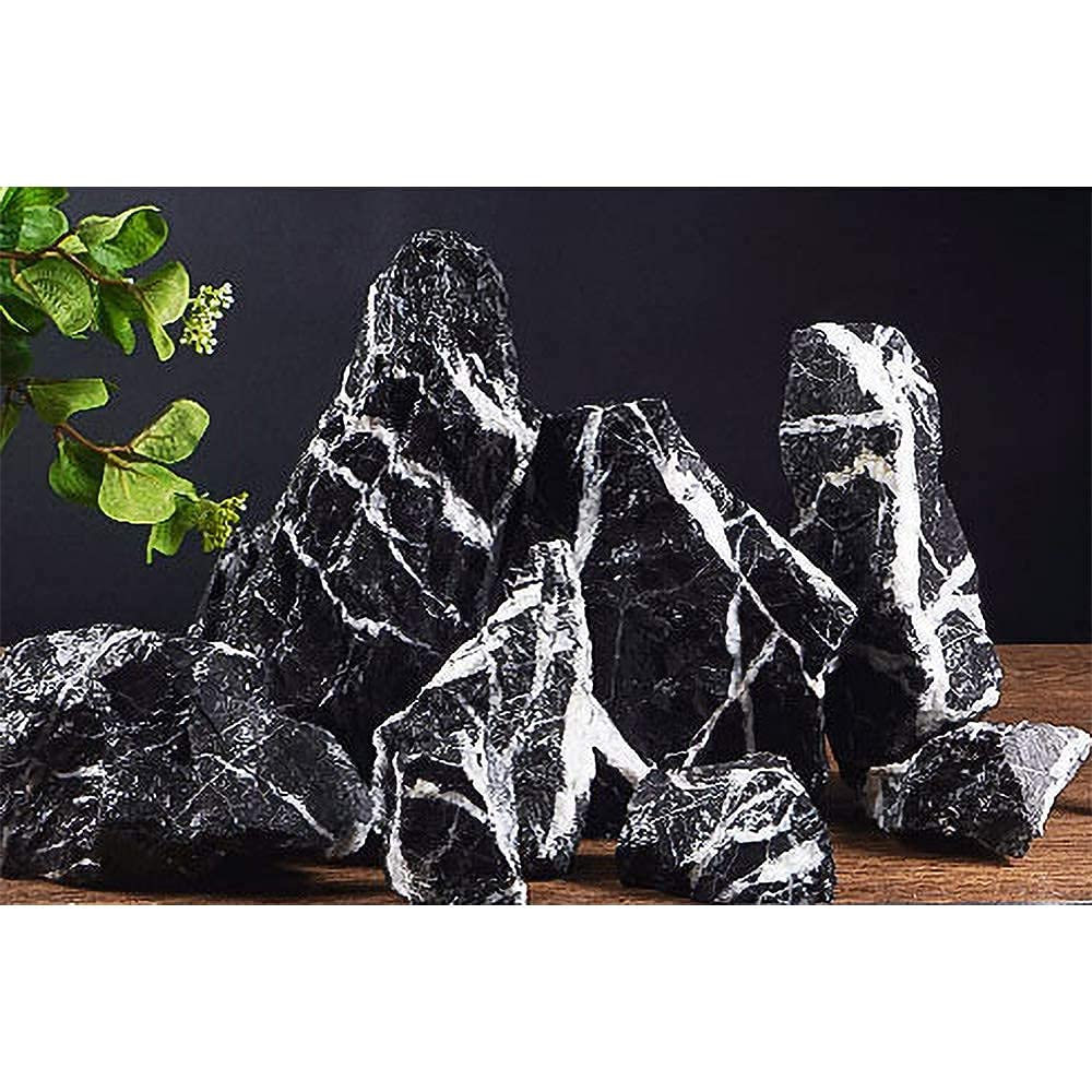 Your one-stop shop for diverse, top-quality aquarium supplies and accessories