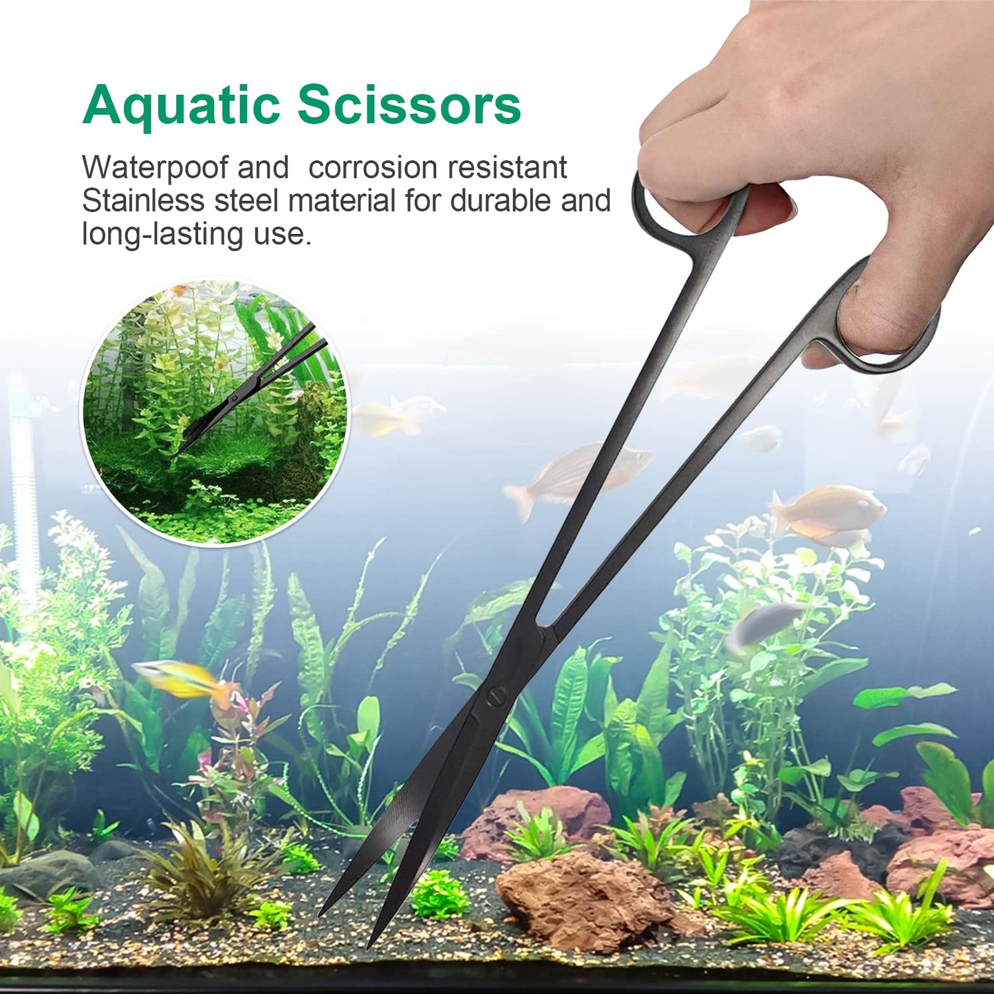 Your one-stop shop for diverse, top-quality aquarium supplies and accessories