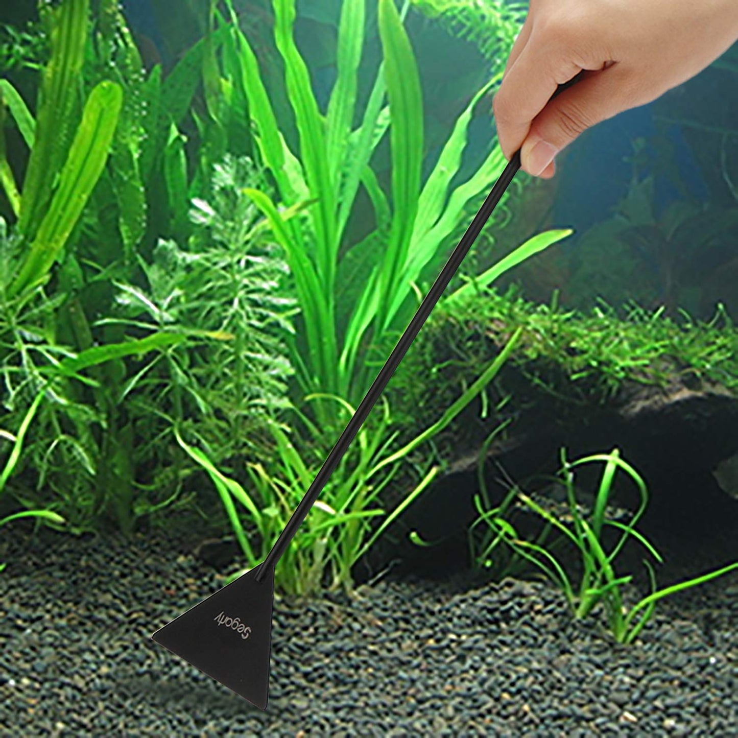 Your one-stop shop for diverse, top-quality aquarium supplies and accessories