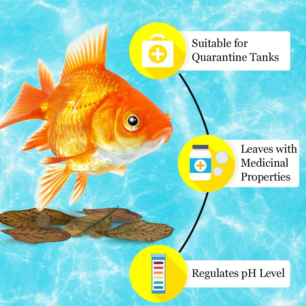 Your one-stop shop for diverse, top-quality aquarium supplies and accessories