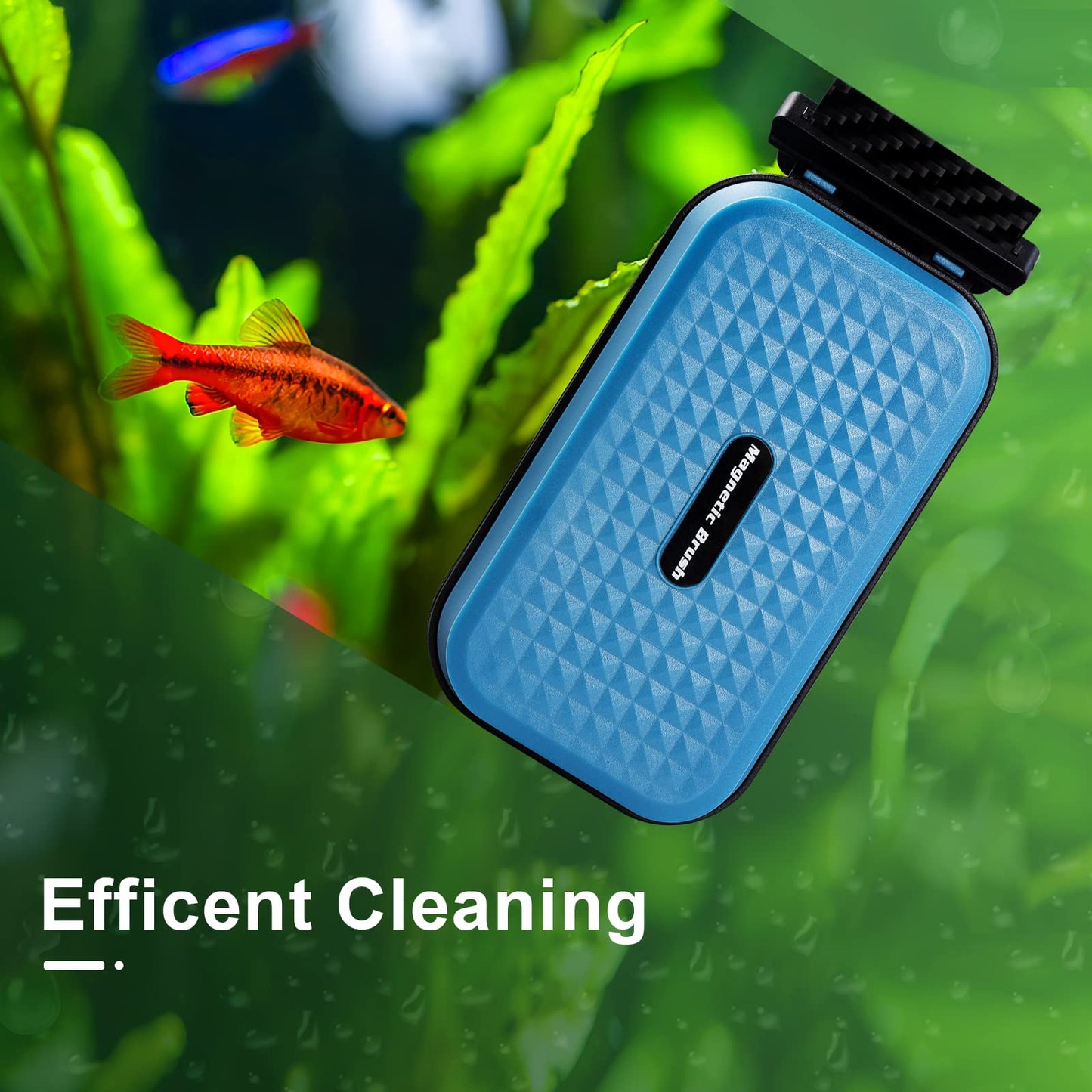 Your one-stop shop for diverse, top-quality aquarium supplies and accessories