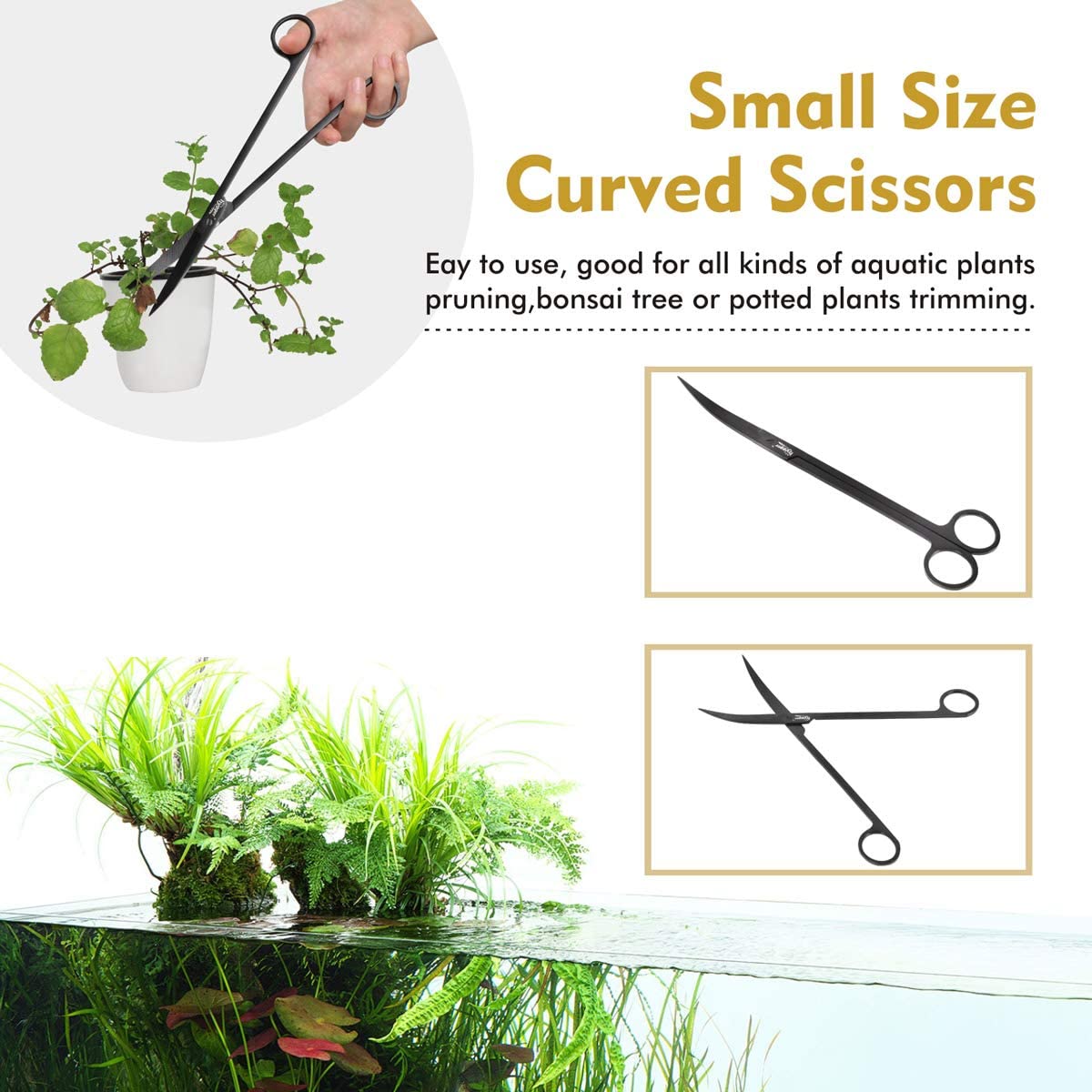 Your one-stop shop for diverse, top-quality aquarium supplies and accessories