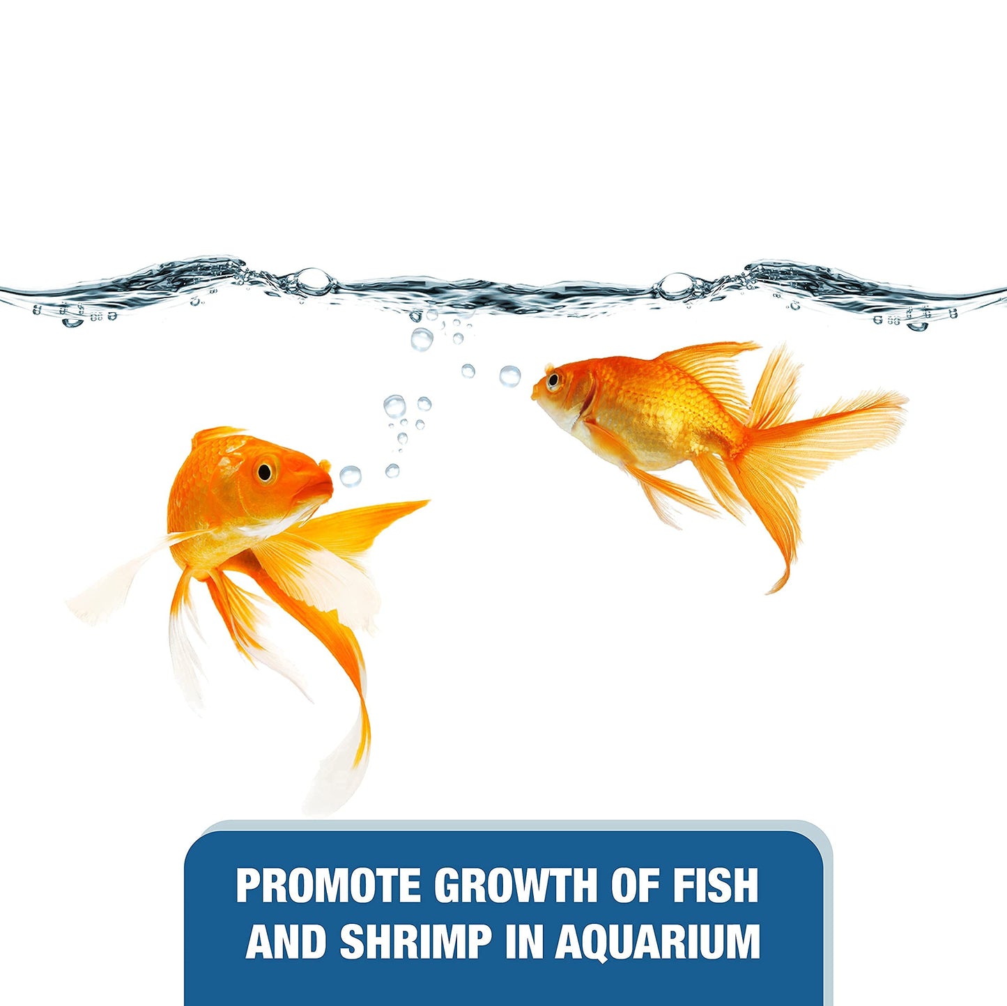 Your one-stop shop for diverse, top-quality aquarium supplies and accessories