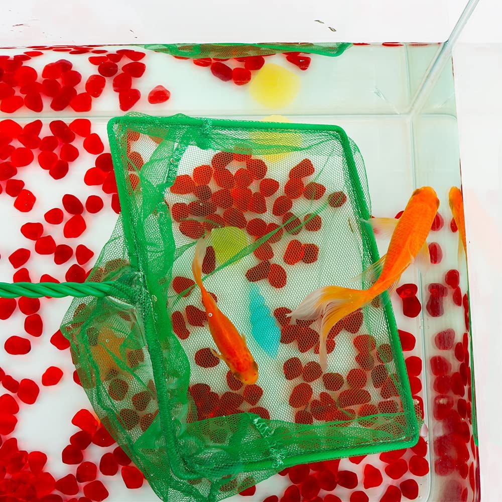 Your one-stop shop for diverse, top-quality aquarium supplies and accessories