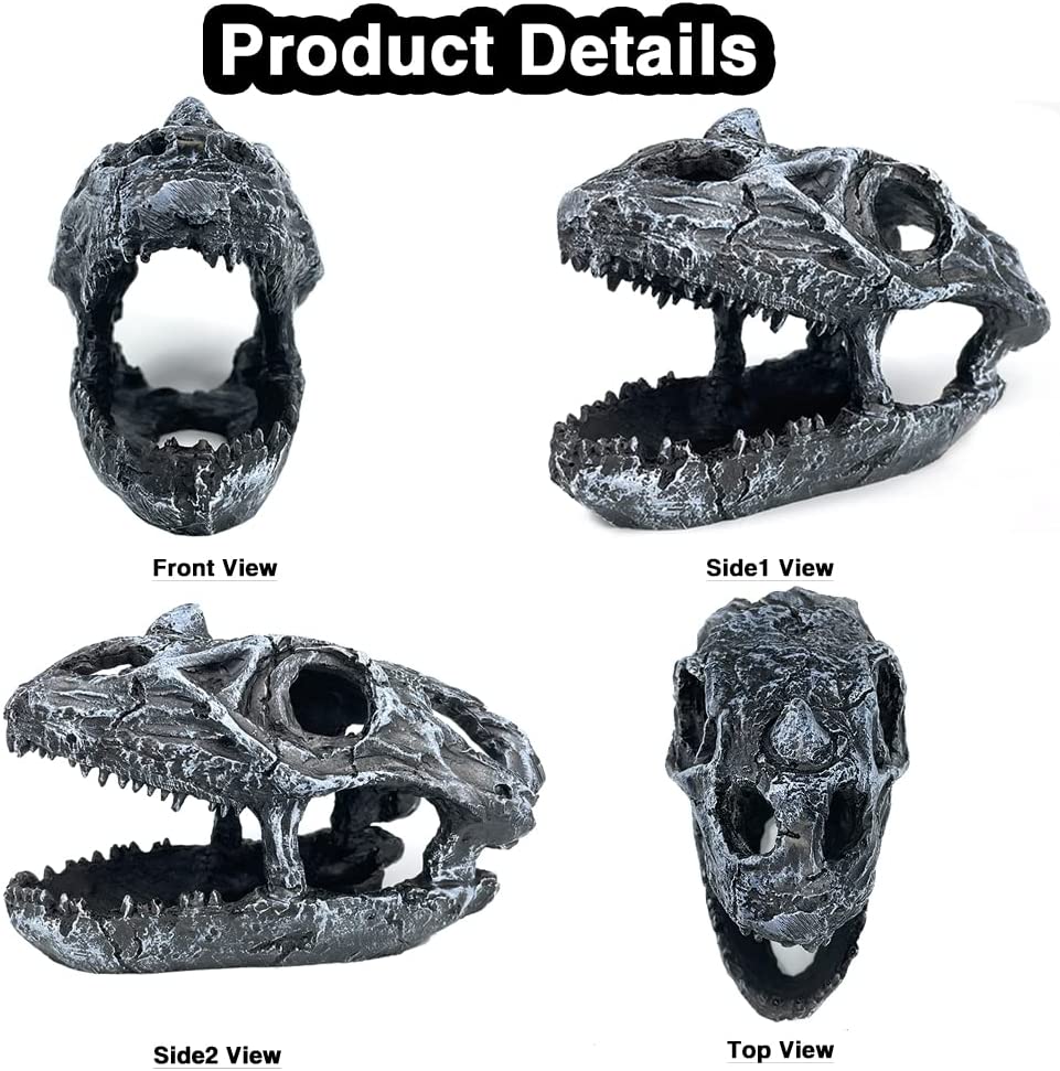 Your one-stop shop for diverse, top-quality aquarium supplies and accessories