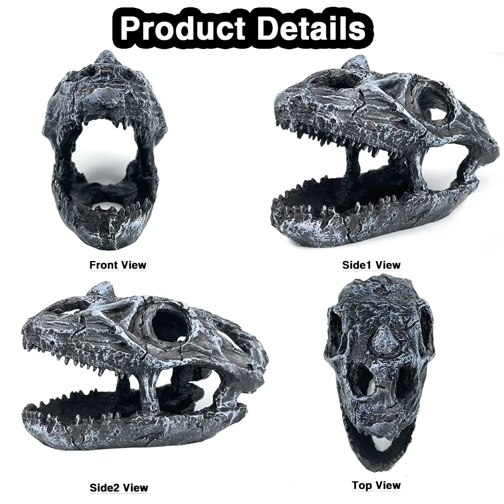 Your one-stop shop for diverse, top-quality aquarium supplies and accessories
