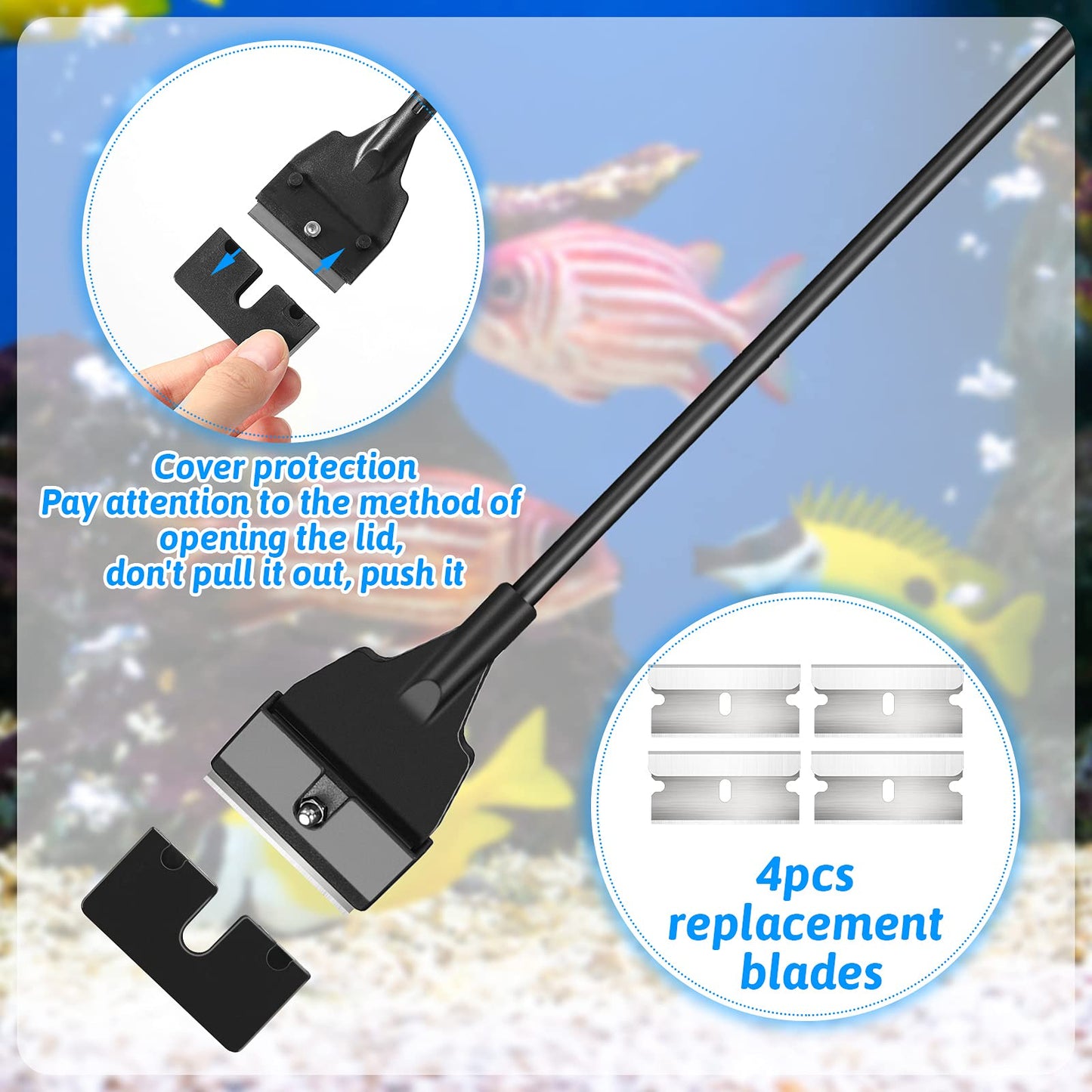 Your one-stop shop for diverse, top-quality aquarium supplies and accessories