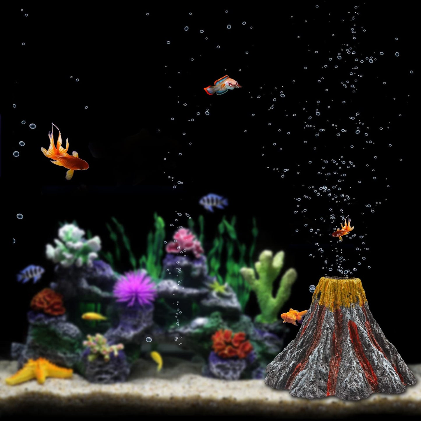 Your one-stop shop for diverse, top-quality aquarium supplies and accessories