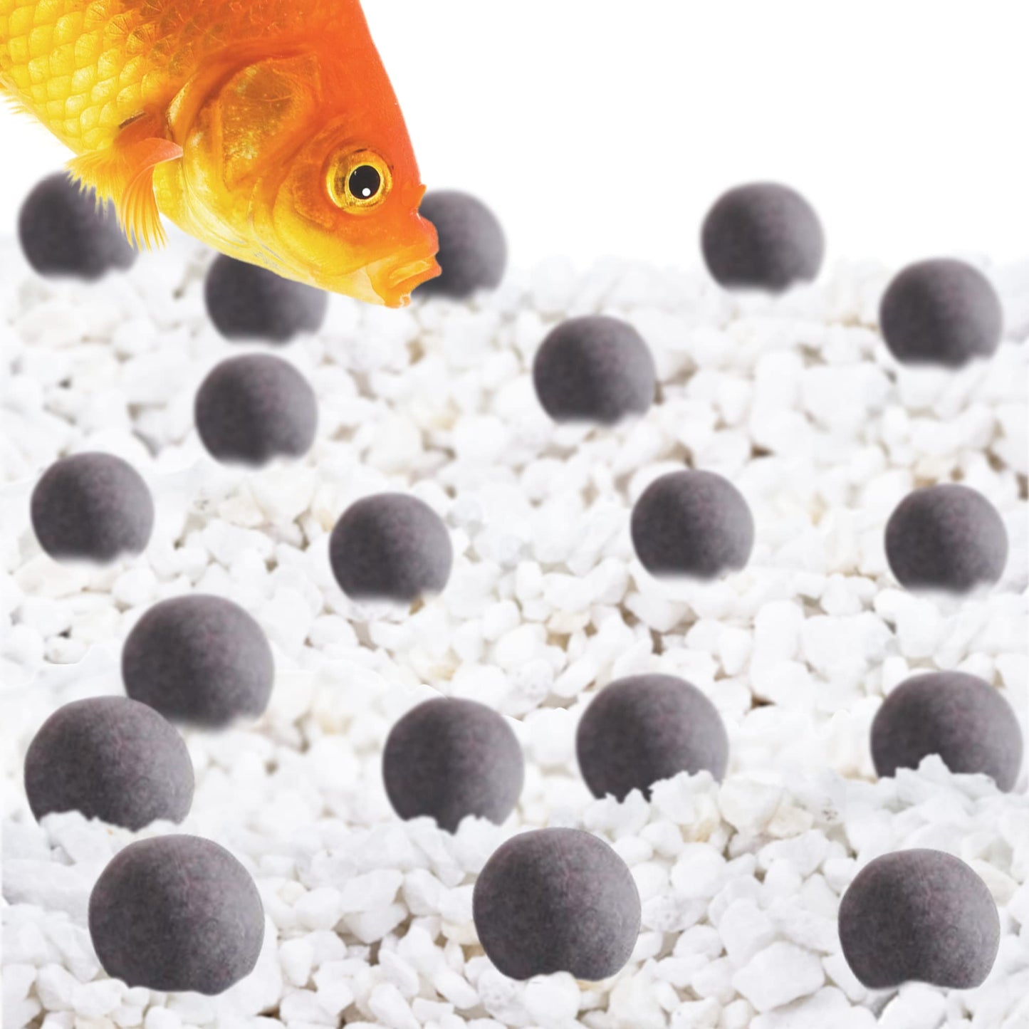 Your one-stop shop for diverse, top-quality aquarium supplies and accessories