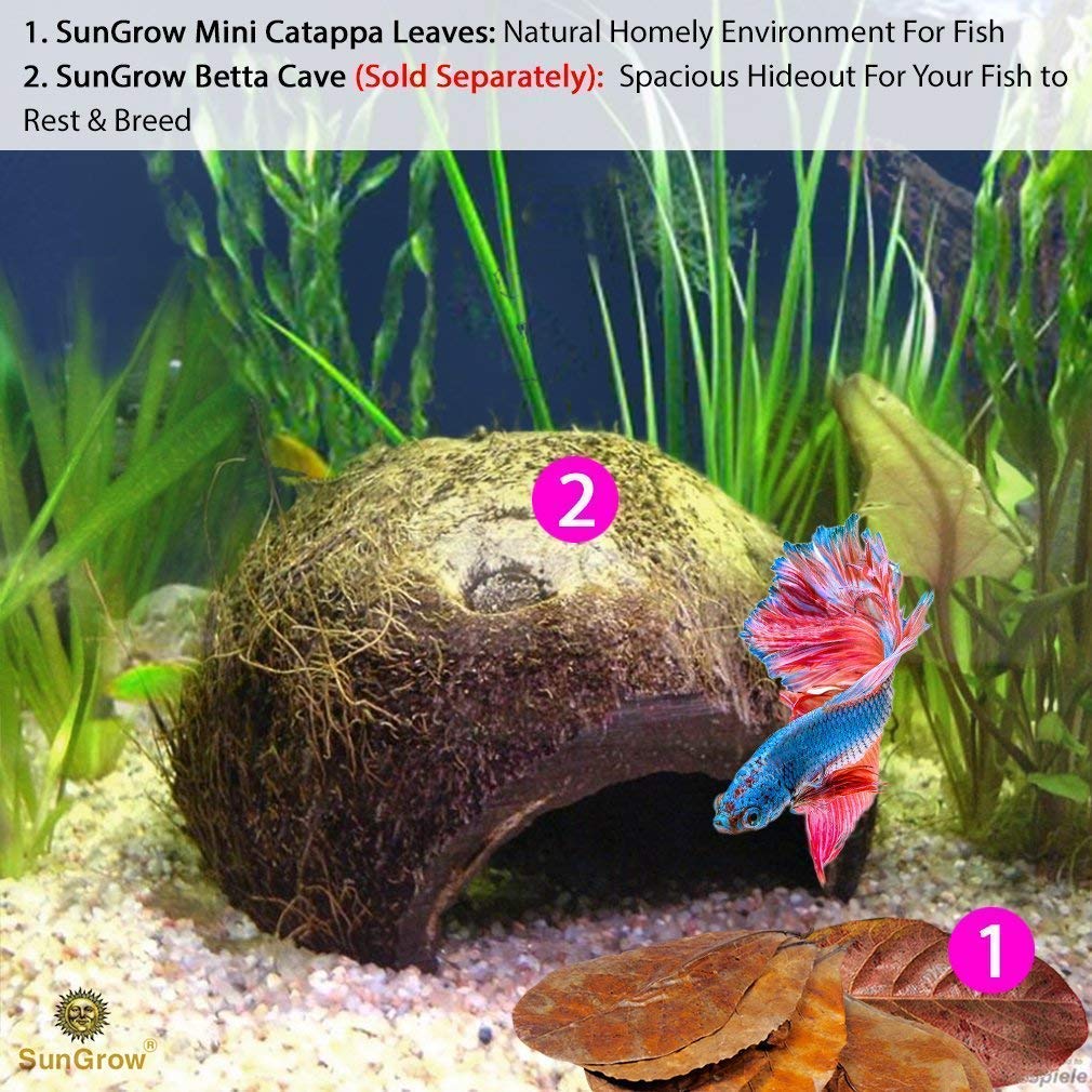 Your one-stop shop for diverse, top-quality aquarium supplies and accessories