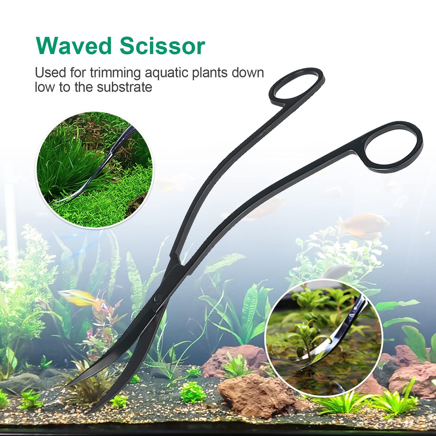 Your one-stop shop for diverse, top-quality aquarium supplies and accessories