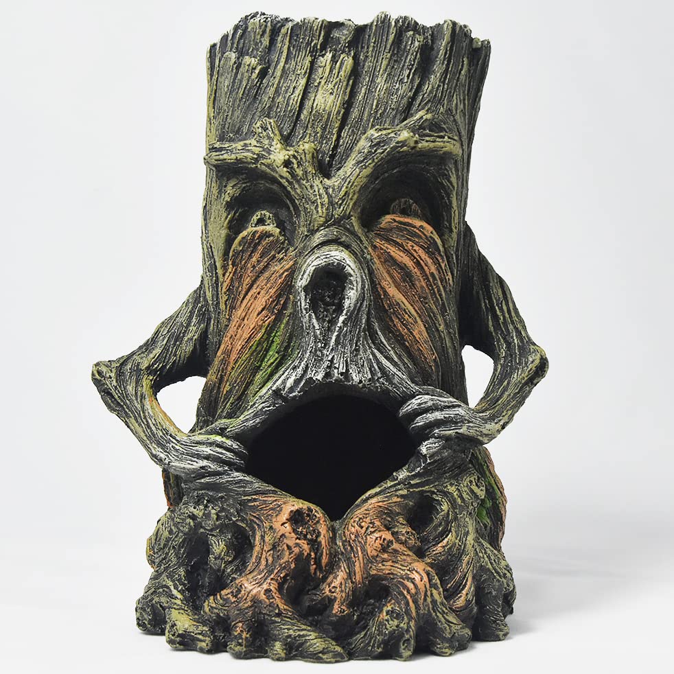 Your one-stop shop for diverse, top-quality aquarium supplies and accessories