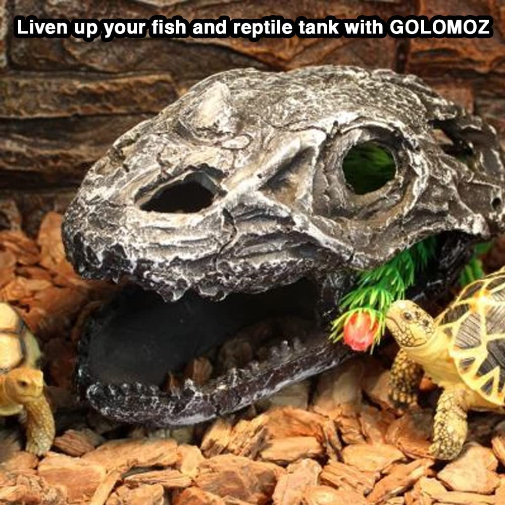Your one-stop shop for diverse, top-quality aquarium supplies and accessories