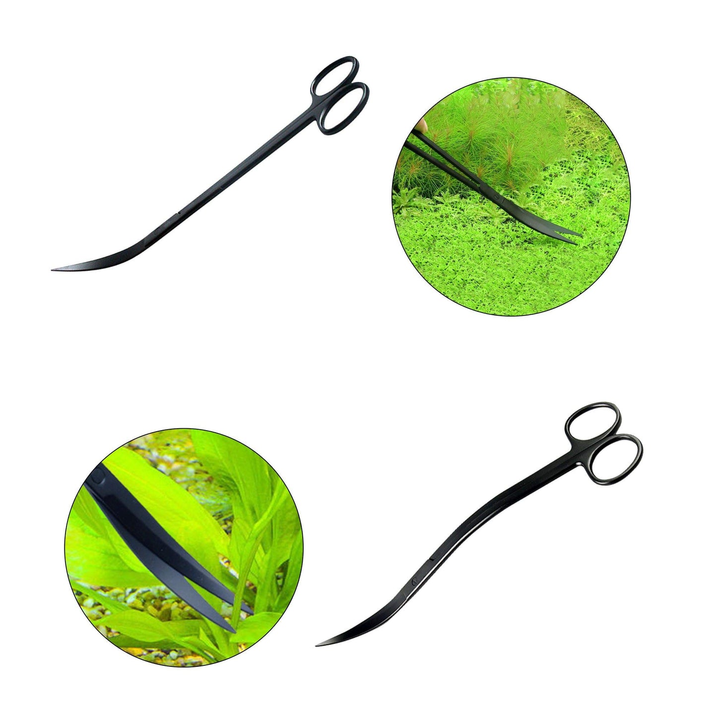 Your one-stop shop for diverse, top-quality aquarium supplies and accessories
