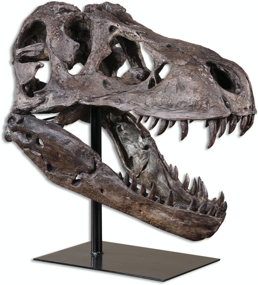 Your one-stop shop for diverse, top-quality aquarium supplies and accessories