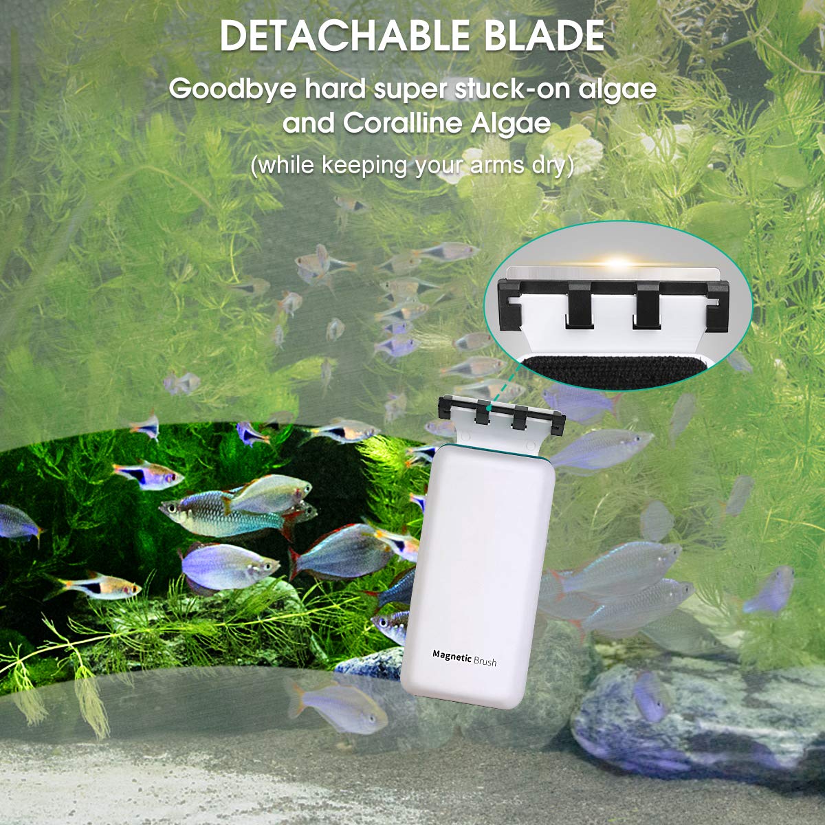 Your one-stop shop for diverse, top-quality aquarium supplies and accessories