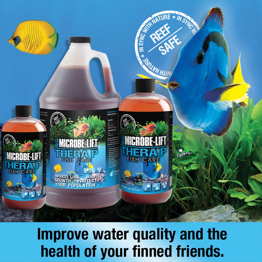 Your one-stop shop for diverse, top-quality aquarium supplies and accessories
