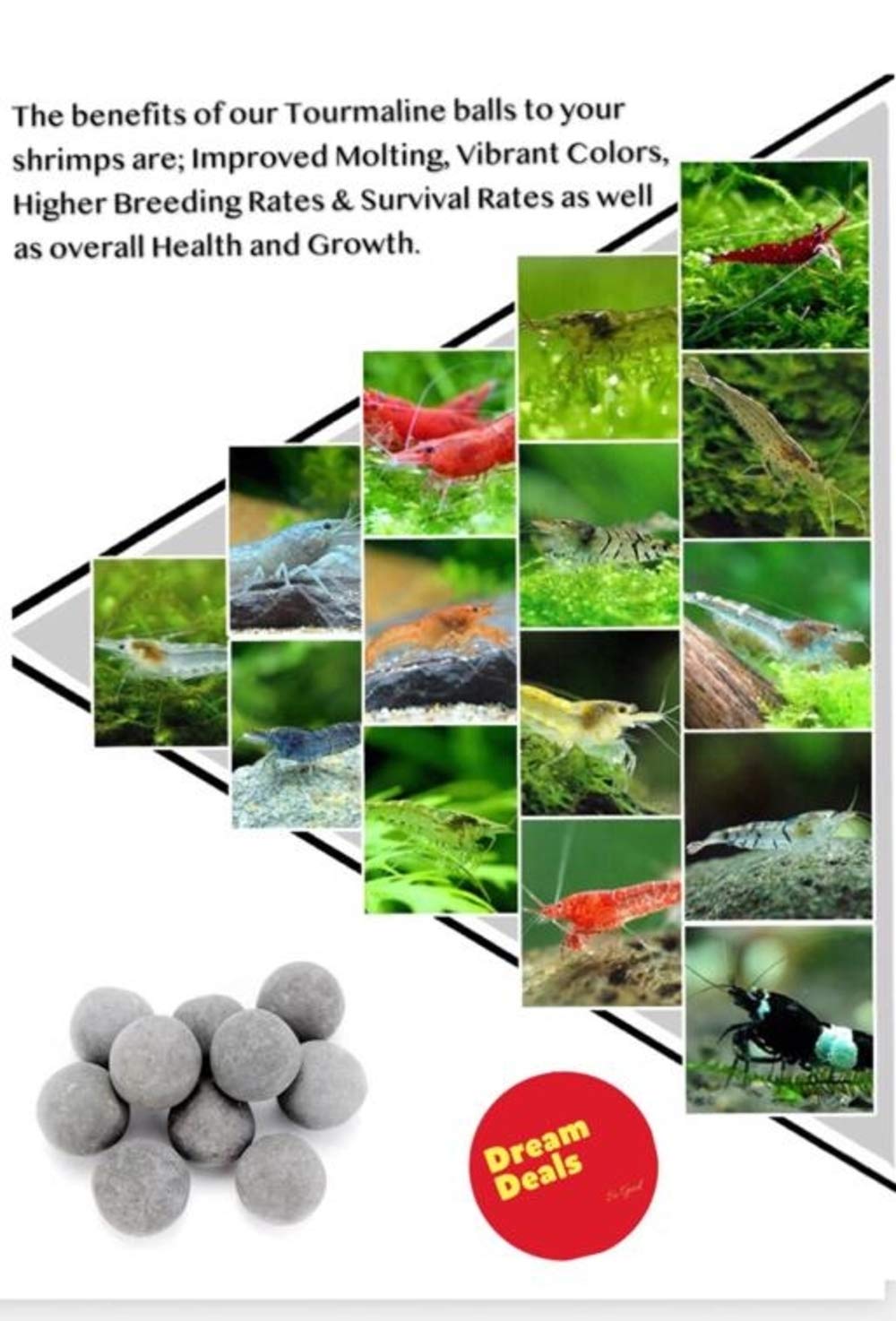 Your one-stop shop for diverse, top-quality aquarium supplies and accessories