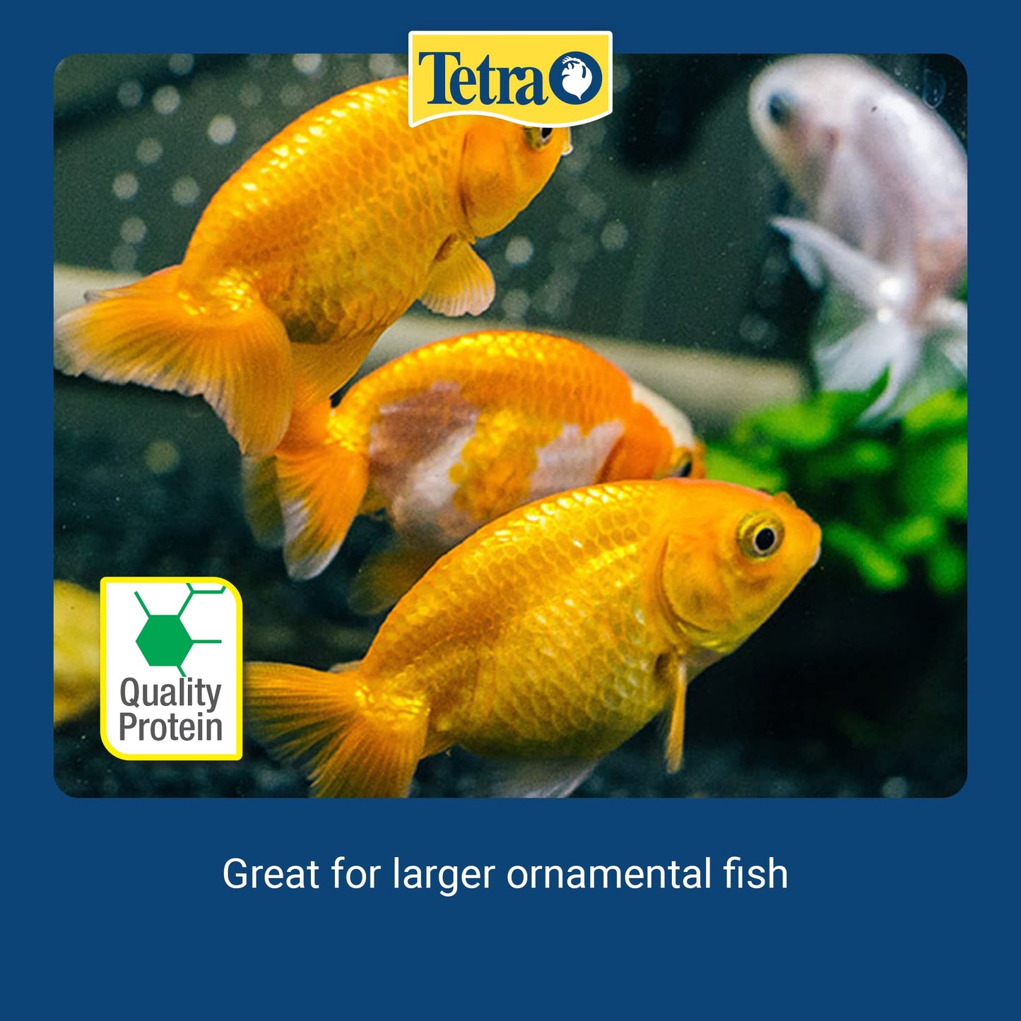 Your one-stop shop for diverse, top-quality aquarium supplies and accessories