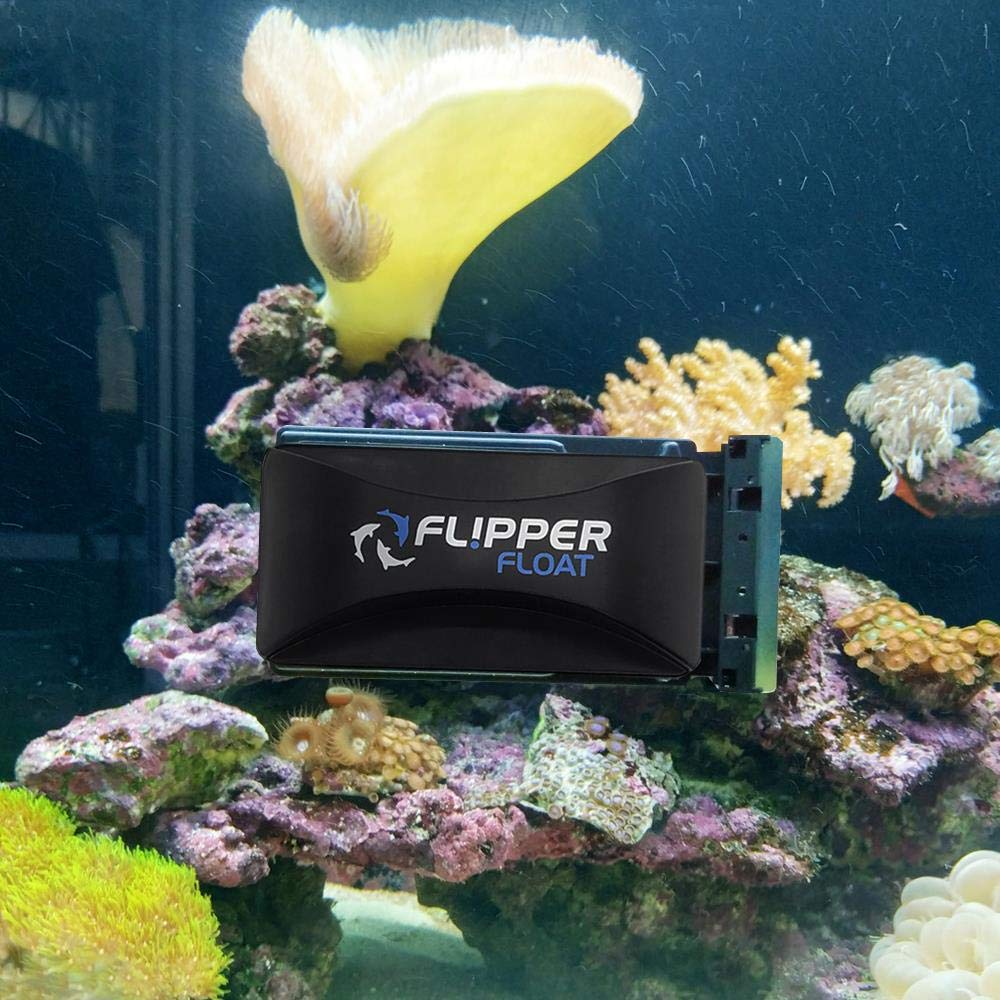 Your one-stop shop for diverse, top-quality aquarium supplies and accessories