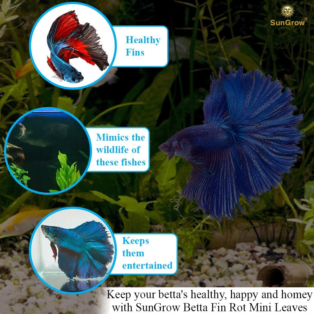 Your one-stop shop for diverse, top-quality aquarium supplies and accessories