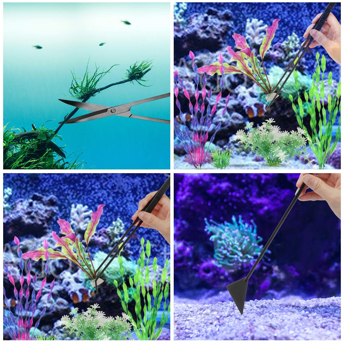 Your one-stop shop for diverse, top-quality aquarium supplies and accessories