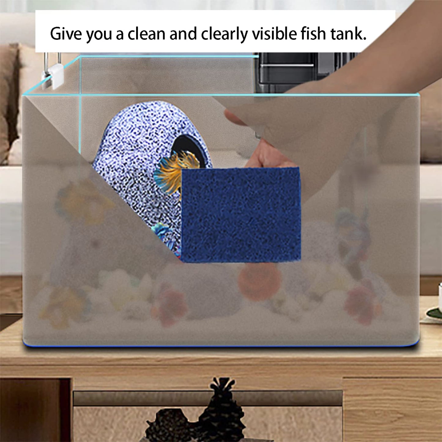 Your one-stop shop for diverse, top-quality aquarium supplies and accessories