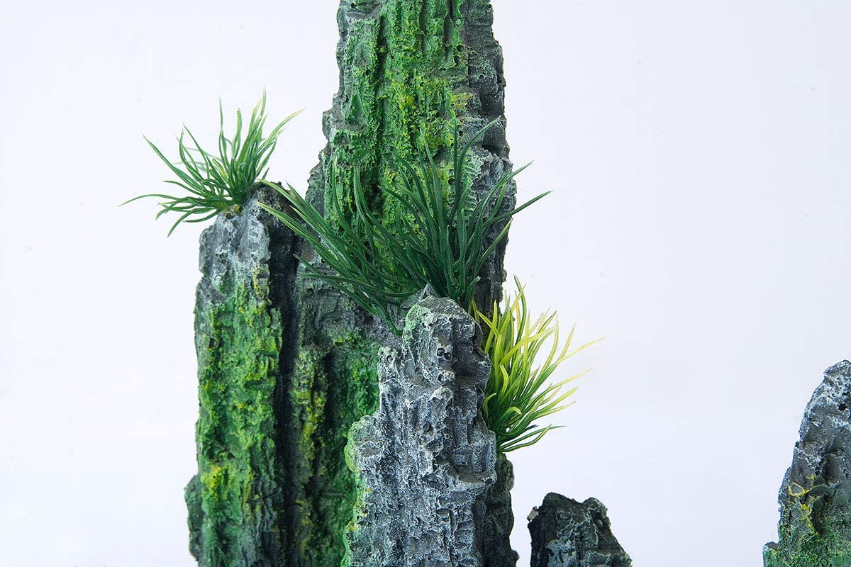 Your one-stop shop for diverse, top-quality aquarium supplies and accessories