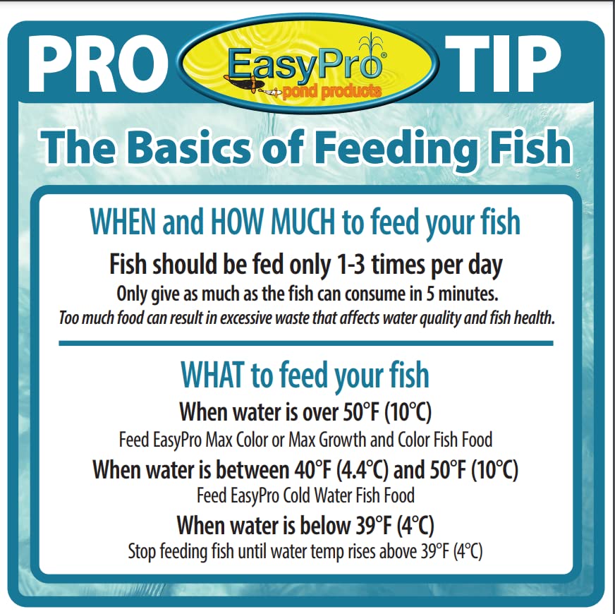 Your one-stop shop for diverse, top-quality aquarium supplies and accessories