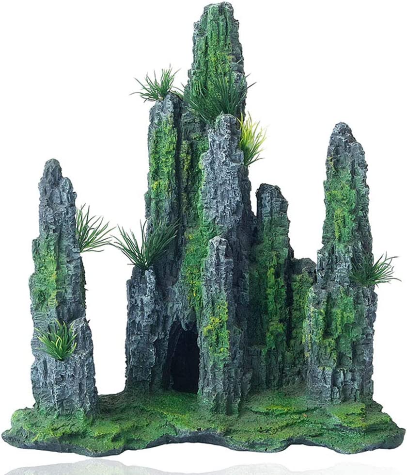 Your one-stop shop for diverse, top-quality aquarium supplies and accessories