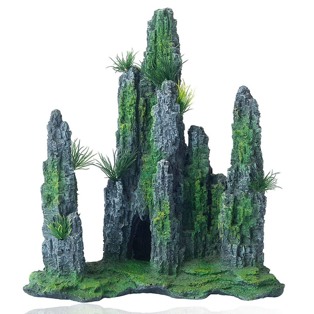Your one-stop shop for diverse, top-quality aquarium supplies and accessories